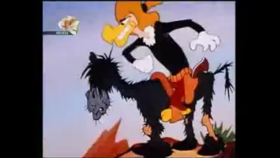 Woody Woodpecker - 041 - Stage Hoax