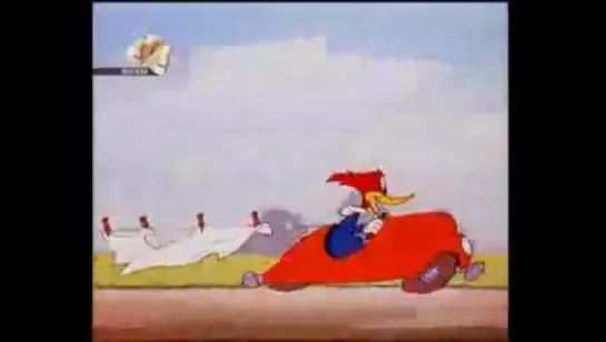 Woody Woodpecker - 024 - Well Oiled