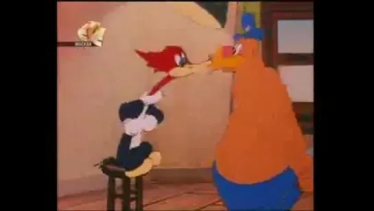 Woody Woodpecker - 019 - The Reckless Driver