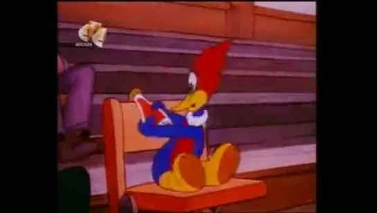 Woody Woodpecker - 007 - The Screwball