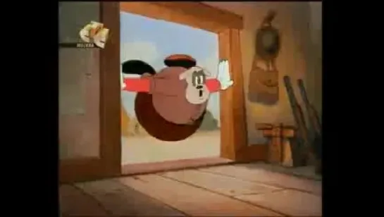 Woody Woodpecker - 005 - Ace in the Hole