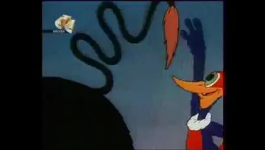 Woody Woodpecker - 004 - The Hollywood Matador