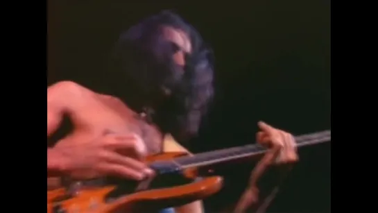 Frank Zappa 1977 Muffin Man (Live)