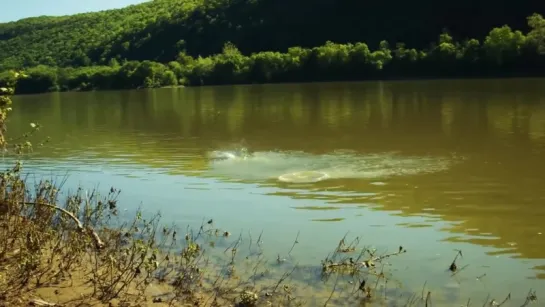 Что будет, если бросить кусок натрия в воду