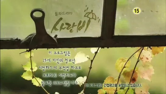 Love Rain 11