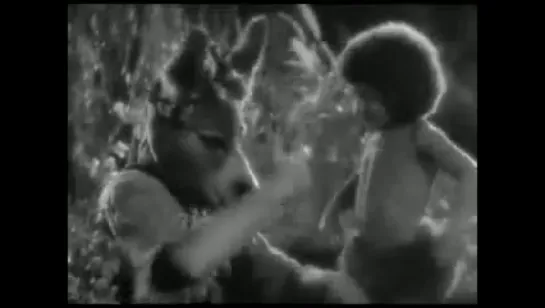 Сон в летнюю ночь / A Midsummer Night's Dream (1935)