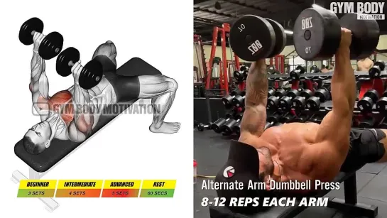 UPPER BODY WORKOUT WITH DUMBELLS ONLY