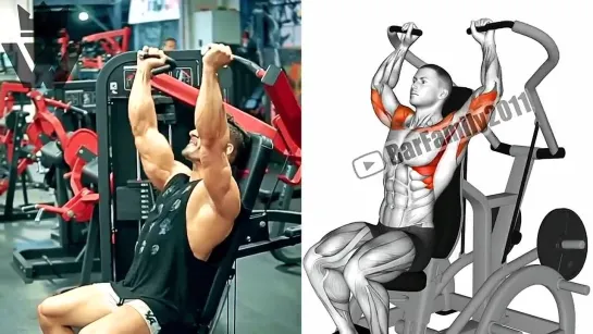 Complete Shoulder Workout (Traps and Delts)