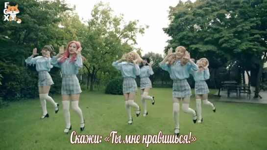 [FSG FOX]  S.I.S  - SAY YES |рус.саб|