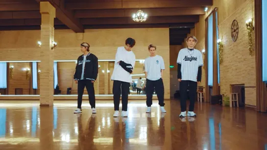 NKI - FAKE (DANCE PRACTICE)