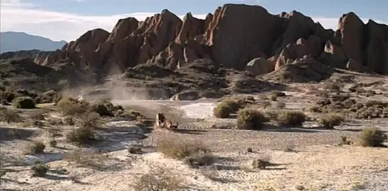 Aballay, el hombre sin miedo (2010 Argentina)