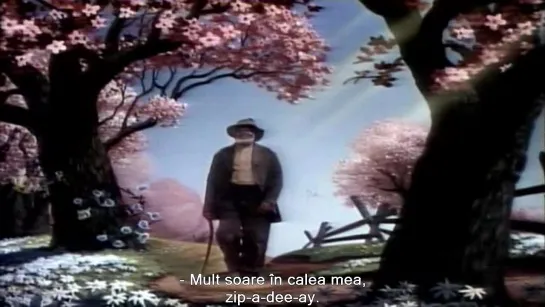 Song of the South [1946]