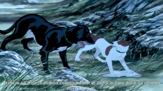 The Plague Dogs [1982]