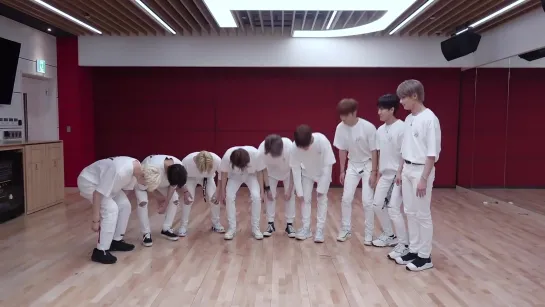 [DANCE PRACTICE] 190705 Stray Kids - "Side Effects" (9 ver.)