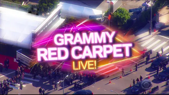 The 62nd Annual Grammy Awards Red Carpet (2020)