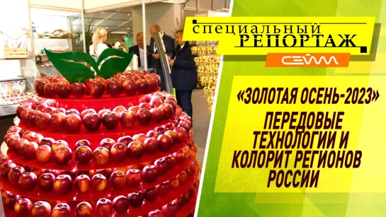 «Специальный репортаж». Выпуск 10.10.2023.