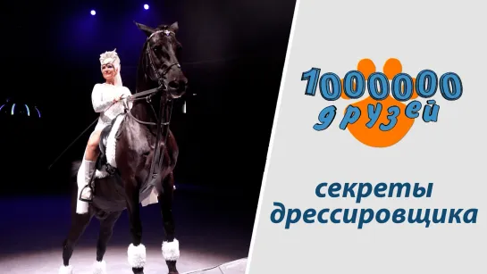 «Миллион друзей». Выпуск 06.10.2023. «Секреты дрессировщика».