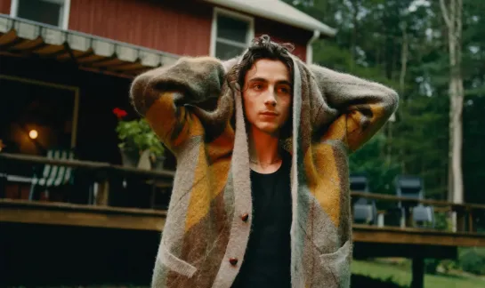 Timothée Chalamet for GQ Magazine (2020)