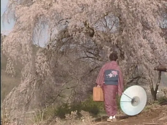 Cherry Blossoms in Spring (Seijun Suzuki, 1983)