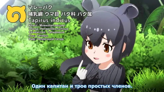 [MedusaSub] Kemono Friends 3 | Ушастые Друзья 3 – 3 серия – русские субтитры