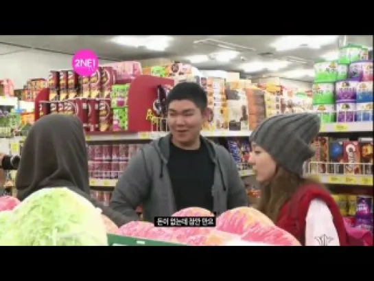 2NE1 TV Season 2 E07-2 Visiting Pet Cafe