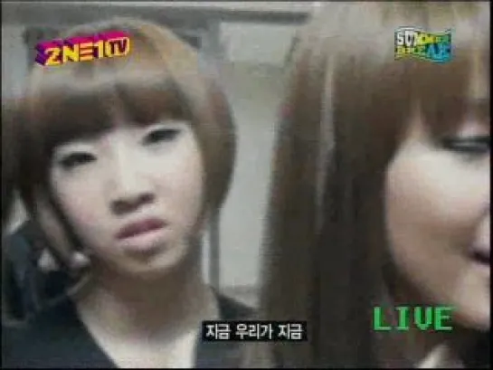 2NE1 - 20090729 Mnet 2NE1 TV - 2NE1 Cut [2any1pop]