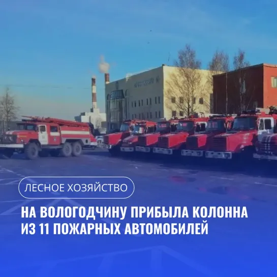 Дайджест 19 марта