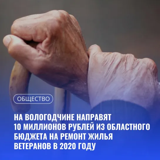 Дайджест 19 ноября