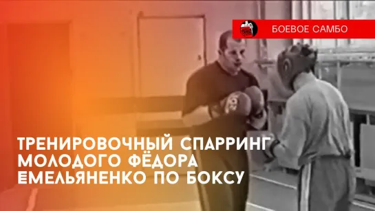 Тренировочный спарринг по боксу молодого Федора Емельяненко