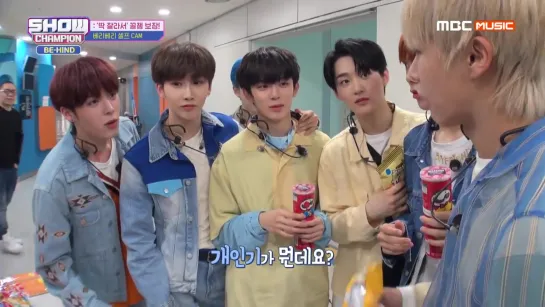 VERIVERY with Show Champion