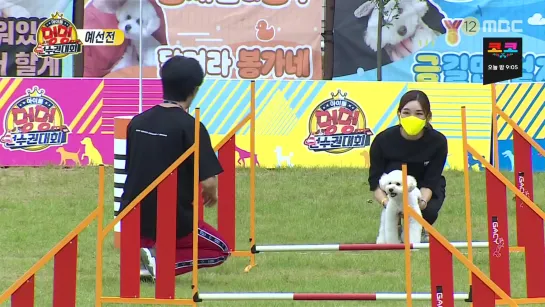 201002 bomin & jaehyun @ isac dog agility competition 2020