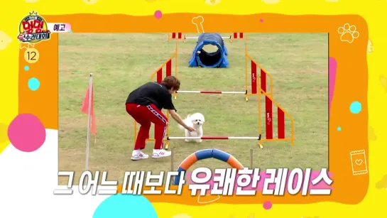 200929 bomin & jaehyun @ isac dog agility competition 2020 teaser