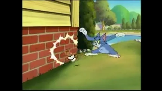 Tom And Jerry - The Karate Guard (2005)