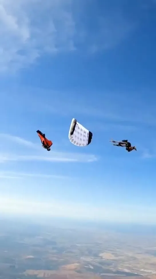 Карв в винге рядом с куполом (Wingsuit vs Parachute Head Down Freefall)