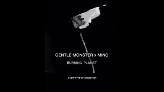 [Тизер] MINO X GENTLEMONSTER