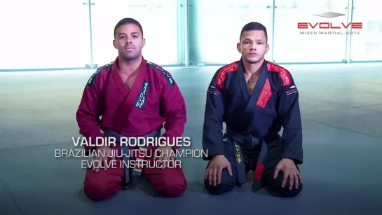 Valdir Rodrigues -  3 Back Takes From Bottom Half Guard _ BJJ