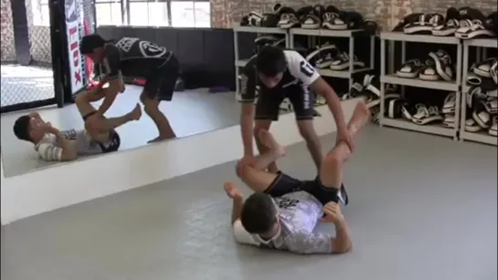 Lucas Pinheiro Nogi Guard Pass