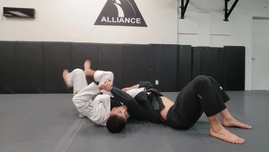 Thomas Lisboa - BUTTERFLY BELT SWEEP