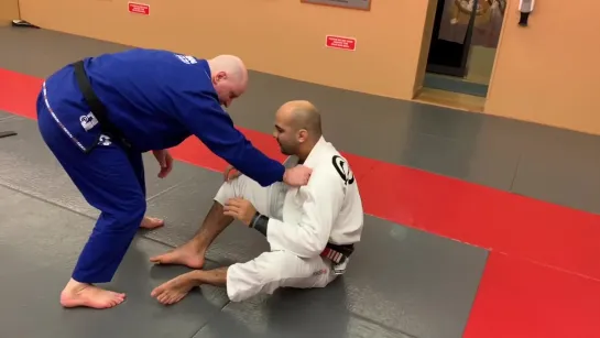 John Danaher - What Are The Most Important Skills Needed For A BJJ Blue Belt