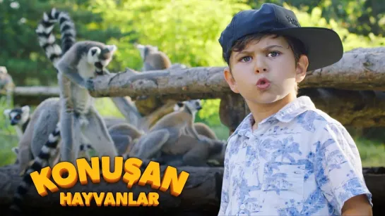 Konusan Hayvanlar / Konuşan Hayvanlar (2019 Турция) комедия дети в кино  Режиссёр: Mustafa Kotan