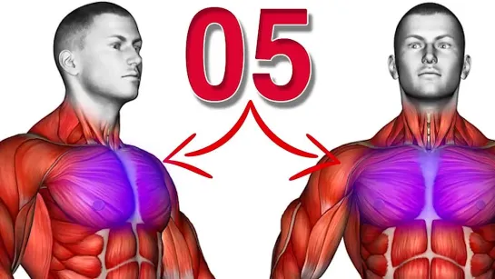 The Best Chest Exercises (No Weights)