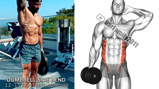 10 Transform Abs  Obliques Exercises