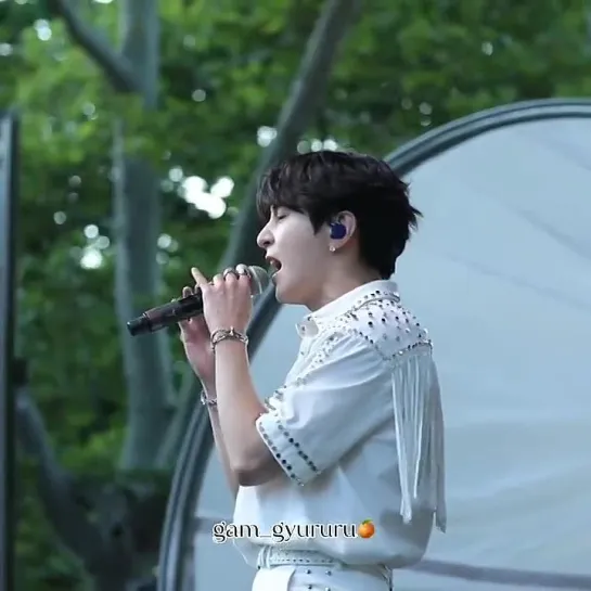 220710 Fanfare | Summerstage in NYC