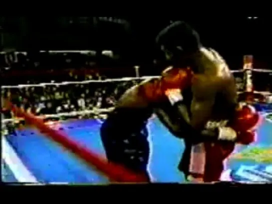 1993-10-23 Felix Trinidad vs Anthony Stephens (IBF Welterweight Title)