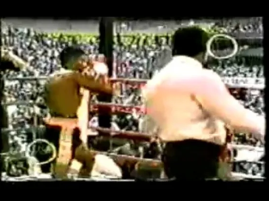 1993-02-20 Felix Trinidad vs Pedro Aguirre