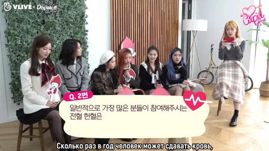 · Рус.саб · 201113 · OH MY GIRL участвуют в викторине на тему донорства крови от Красного Креста ·