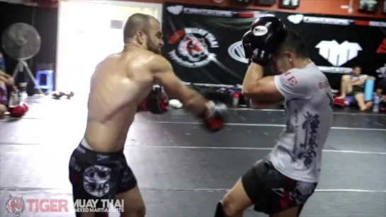 MMA Sparring at Tiger Muay Thai.  ПРАЙД, МИР БОЕВЫХ ИСКУССТВ [MMA|UFC|BELLATOR|БОКС]