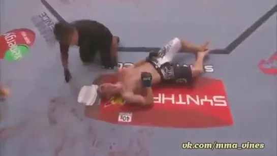 Best MMA UFC Knockouts Highlights