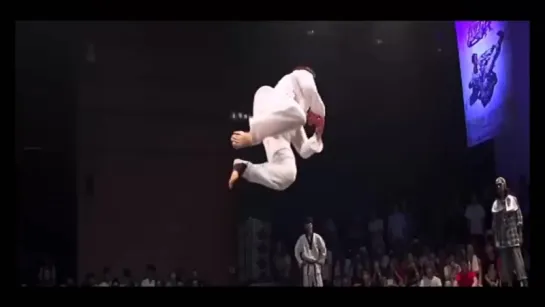 BEST TAEKWONDO KNOCKOUTS 2015 - DailyVideos™