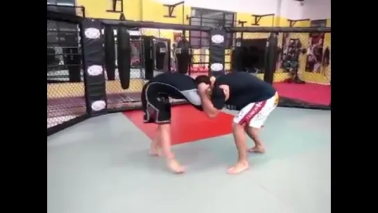 Ronda Rousey Vs Gegard Mousasi (Sparring)